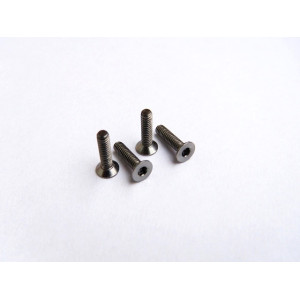 Titanium Hex Socket Flat Head Screw M2x8 - 48020 - HIRO SEIKO