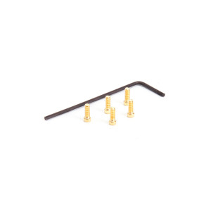  M2x5 Cap Screw Set (5 pcs)  [Gold] - 69094 - HIRO SEIKO