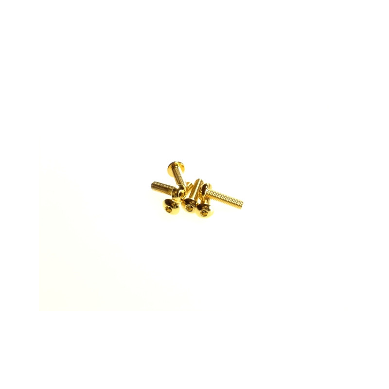  Hex Button Screw M3x12  [24K_Gold] - 69571 - HIRO SEIKO