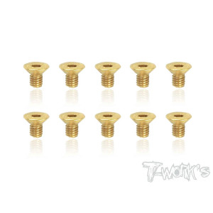 Screws GOLD FHC  3x5mm (10) - T-WORKS - GSS-305C