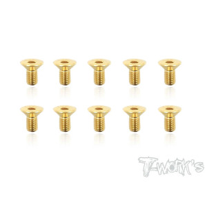 Screws GOLD FHC 3x6mm (10) - T-WORKS - GSS-306C