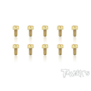 Screws GOLD CHC  3x6mm (10) - T-WORKS - GSS-306H