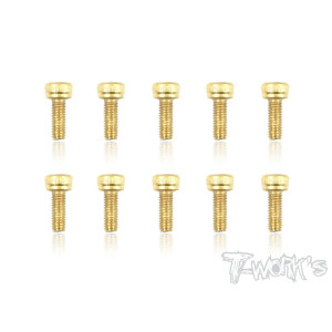 Screws GOLD CHC 3x8mm (10) - T-WORKS - GSS-308H