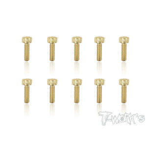 Screws GOLD CHC 3x10mm (10) - T-WORKS - GSS-310H