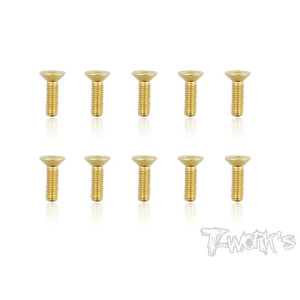 Screws GOLD FHC 3x10mm (10) - T-WORKS - GSS-310C
