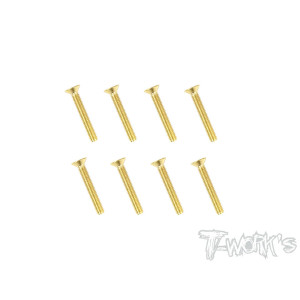 Screws GOLD FHC 3x20mm (8) - T-WORKS - GSS-320C