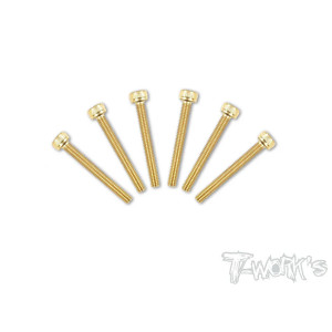 Screws GOLD CHC 3x25mm (6) - T-WORKS - GSS-325H