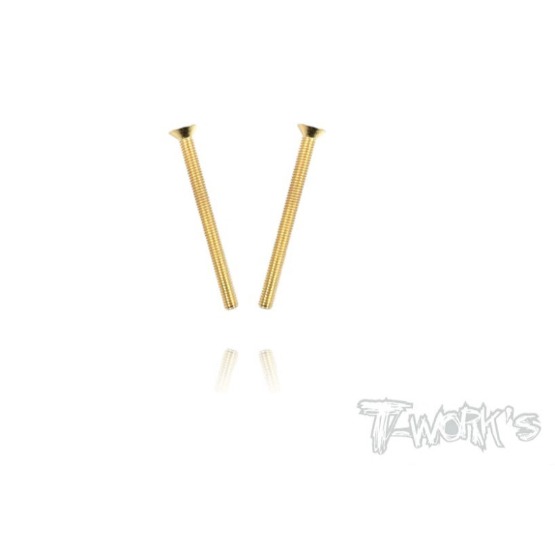 Screws GOLD FHC 3x40mm (2) - T-WORKS - GSS-340C