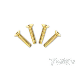 Screws GOLD FHC 4x25mm (2) - T-WORKS - GSS-425C