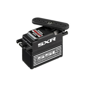 Sanwa PGS-CX II servo - SANWA - S107A54526A