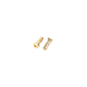 4mm Gold Connectors - 14mm length (4 pcs.) - NOSRAM - 999202