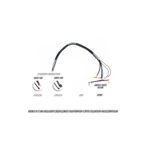 Câble de charge 60cm 2x2S XH XT60/PK4-5 - NOSRAM - 999231
